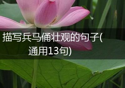 描写兵马俑壮观的句子(通用13句)