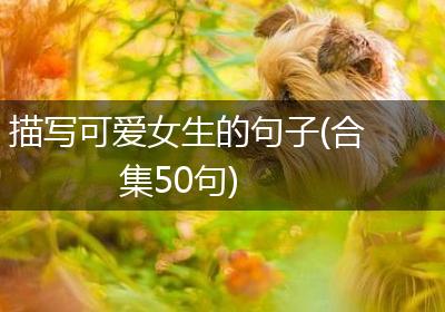 描写可爱女生的句子(合集50句)