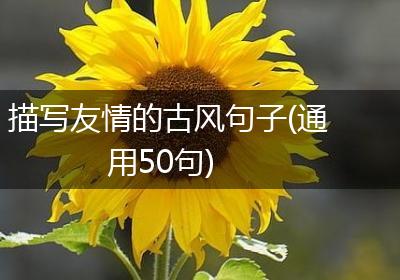 描写友情的古风句子(通用50句)