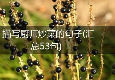 描写厨师炒菜的句子(汇总53句)