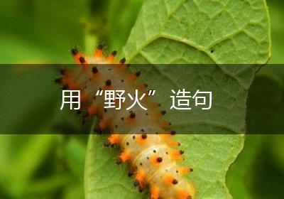 用“野火”造句