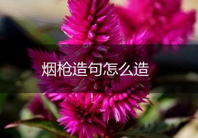 烟枪造句怎么造