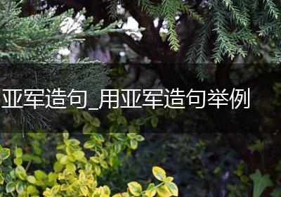 亚军造句_用亚军造句举例