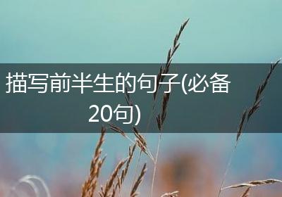 描写前半生的句子(必备20句)