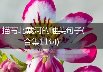 描写北戴河的唯美句子(合集11句)