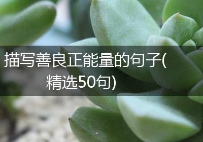 描写善良正能量的句子(精选50句)