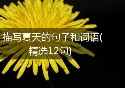描写夏天的句子和词语(精选12句)
