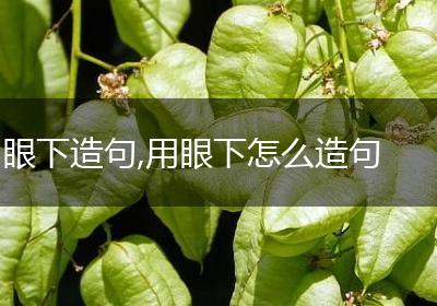 眼下造句,用眼下怎么造句