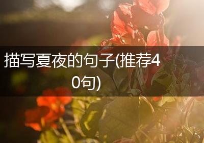 描写夏夜的句子(推荐40句)