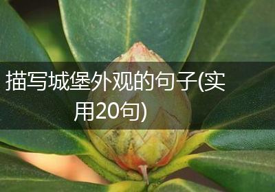 描写城堡外观的句子(实用20句)