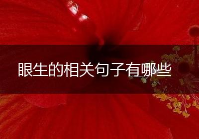 眼生的相关句子有哪些
