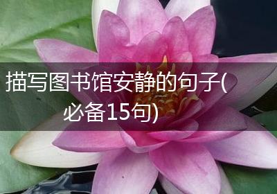 描写图书馆安静的句子(必备15句)