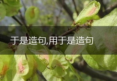 于是造句,用于是造句