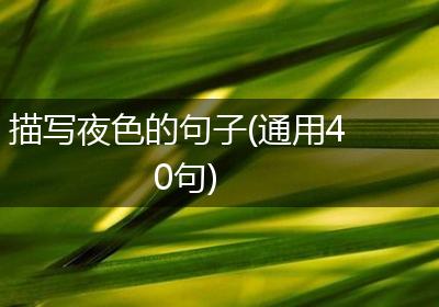 描写夜色的句子(通用40句)