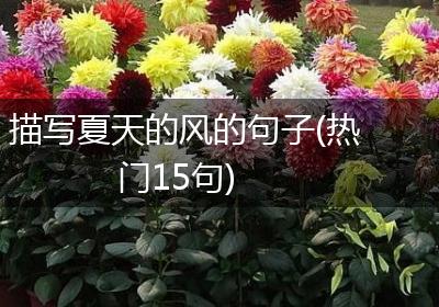 描写夏天的风的句子(热门15句)