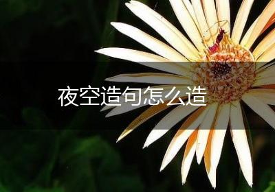 夜空造句怎么造