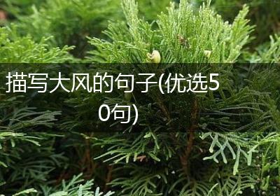 描写大风的句子(优选50句)