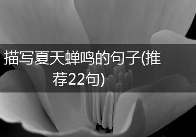 描写夏天蝉鸣的句子(推荐22句)