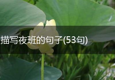 描写夜班的句子(53句)
