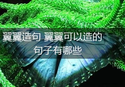 翼翼造句 翼翼可以造的句子有哪些