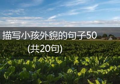 描写小孩外貌的句子50(共20句)