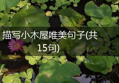 描写小木屋唯美句子(共15句)