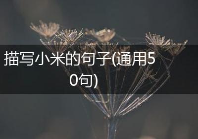 描写小米的句子(通用50句)