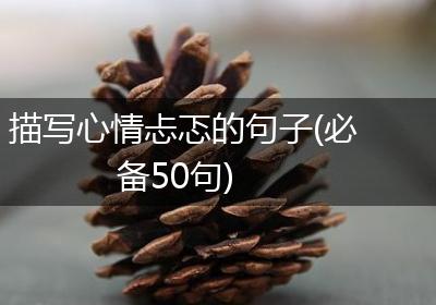 描写心情忐忑的句子(必备50句)