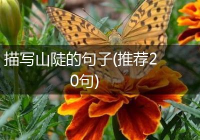 描写山陡的句子(推荐20句)