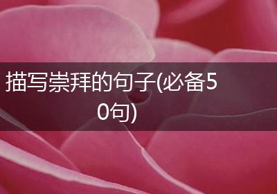 描写崇拜的句子(必备50句)