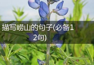 描写崂山的句子(必备12句)