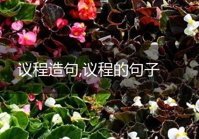 议程造句,议程的句子