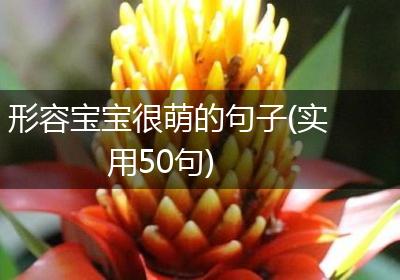 形容宝宝很萌的句子(实用50句)