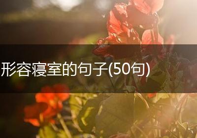 形容寝室的句子(50句)