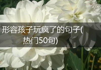 形容孩子玩疯了的句子(热门50句)