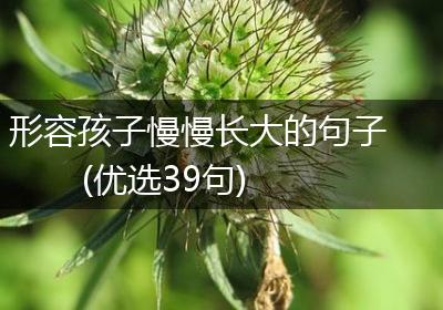 形容孩子慢慢长大的句子(优选39句)