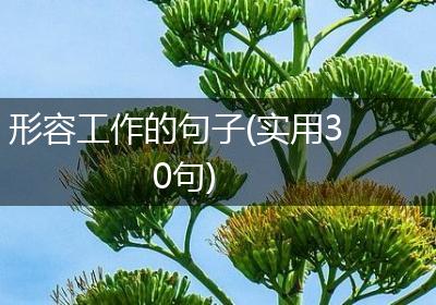 形容工作的句子(实用30句)