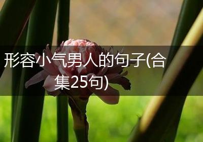 形容小气男人的句子(合集25句)