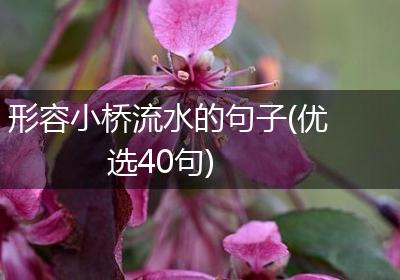 形容小桥流水的句子(优选40句)