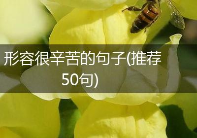 形容很辛苦的句子(推荐50句)