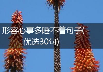 形容心事多睡不着句子(优选30句)