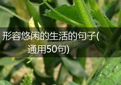 形容悠闲的生活的句子(通用50句)