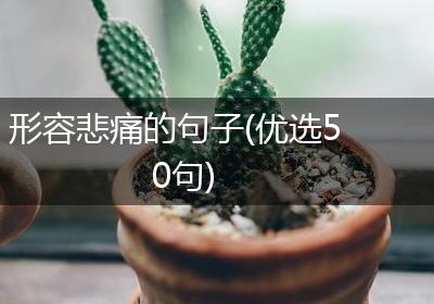 形容悲痛的句子(优选50句)