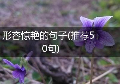形容惊艳的句子(推荐50句)