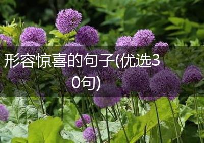 形容惊喜的句子(优选30句)