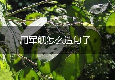 用军舰怎么造句子