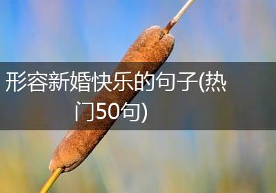 形容新婚快乐的句子(热门50句)