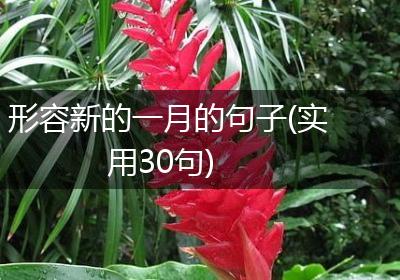 形容新的一月的句子(实用30句)