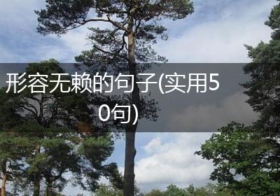 形容无赖的句子(实用50句)