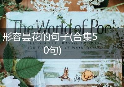 形容昙花的句子(合集50句)